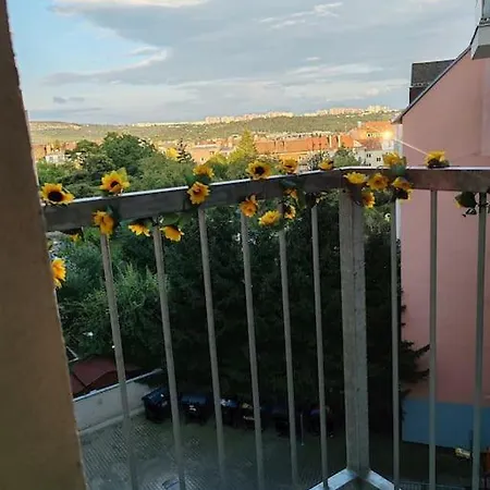 Star With Terrace 4c Brno